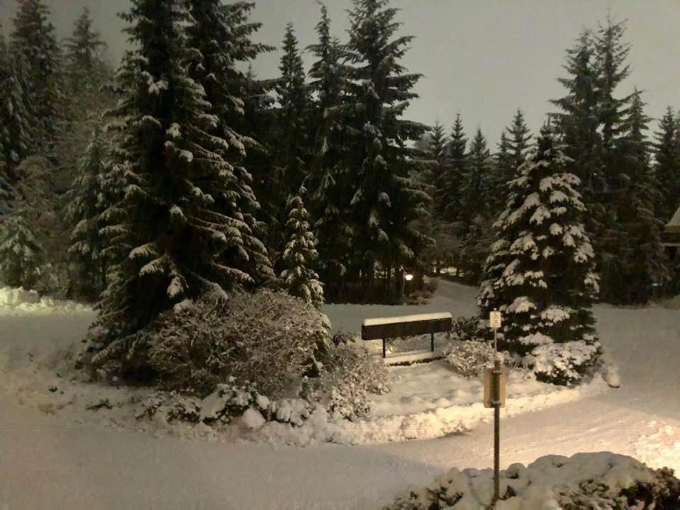 Powderhorn By Whistler Blackcomb Vacation Rentals Zewnętrze zdjęcie